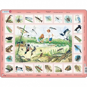 Обучающий пазл – Пруд, русский, 48 деталей (Larsen, NA3)